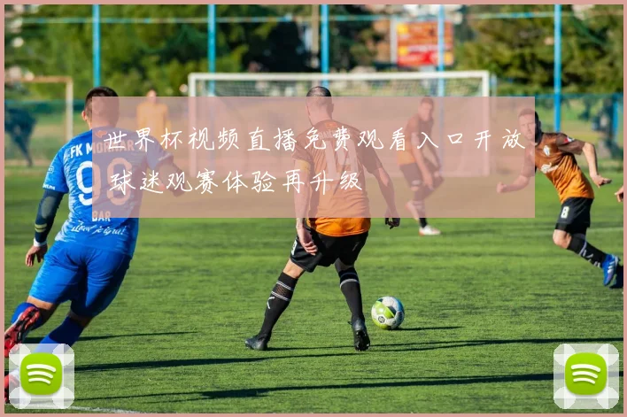 世界杯视频直播免费观看入口开放 球迷观赛体验再升级