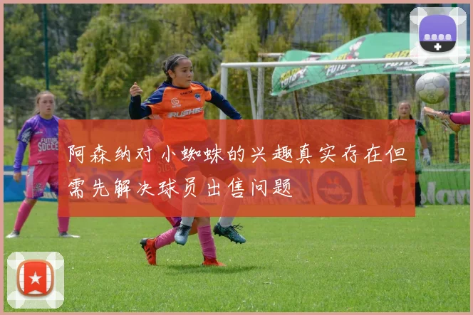 阿森纳对小蜘蛛的兴趣真实存在但需先解决球员出售问题