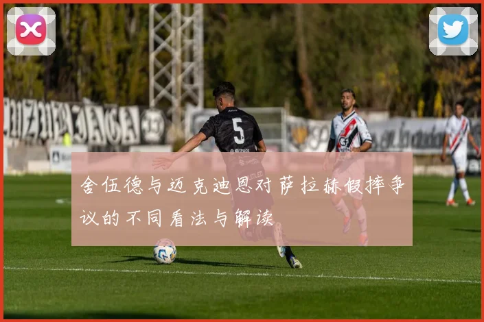 舍伍德与迈克迪恩对萨拉赫假摔争议的不同看法与解读