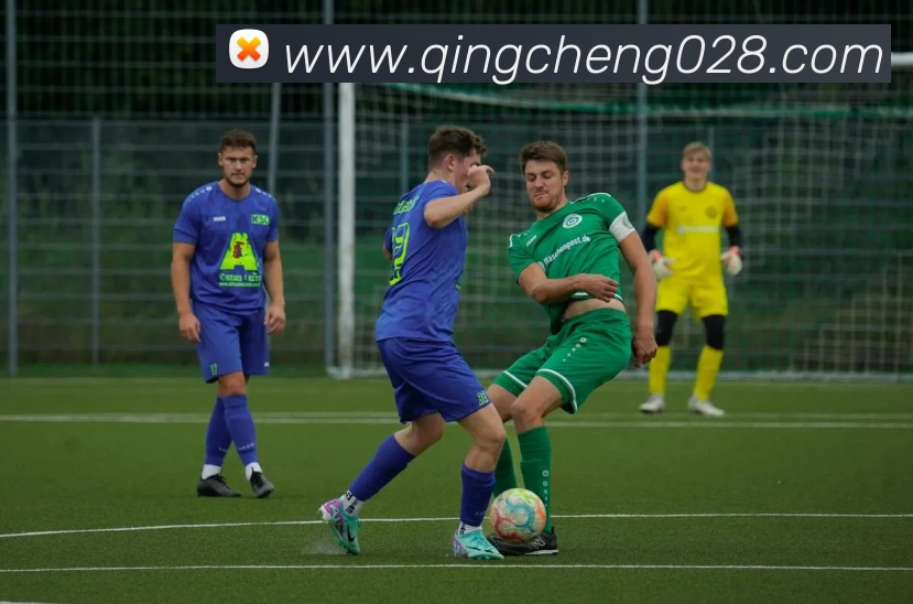 九游体育官网登录入口APP 高清赛事图